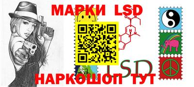 spice Заволжье